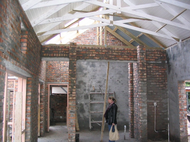 kitchen starts.jpg